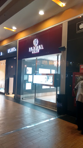 Ilaria